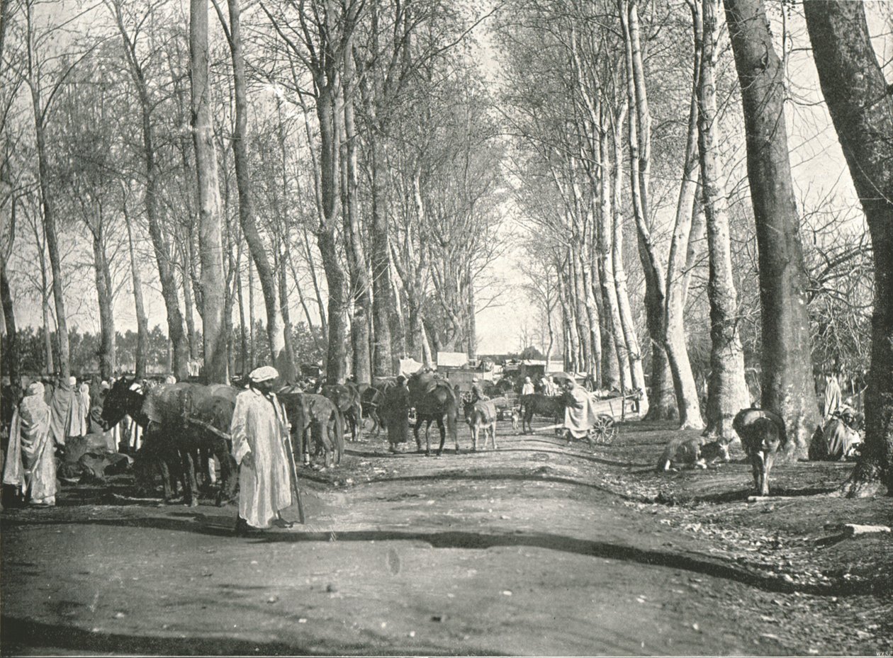 Arap panayırı ve pazarı, Boufarik, Cezayir, 1895. by Poulton and Co