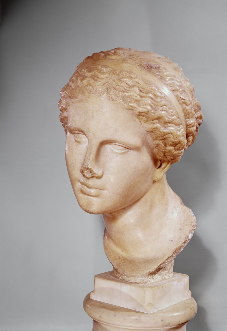 Martres Venüsü, bir Yunan orijinalinin Roma kopyası (mermer) by Praxiteles