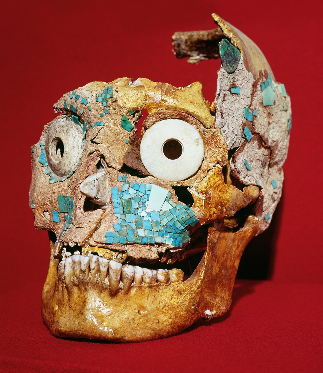 Turkuaz ve fildişi mozaikle süslenmiş kafatası, Mixtec, Tomb 7, Monte Alban, 1300-1450 by Pre Columbian