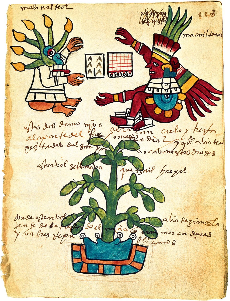 Codex Tudela