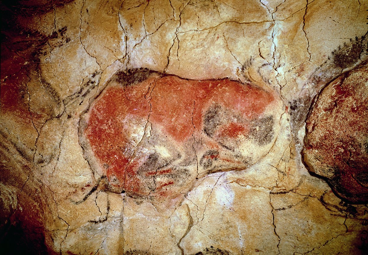 Altamira Mağaralarından Bizon, Üst Paleolitik, MÖ 15000-8000 civarı (mağara resmi) by Prehistoric