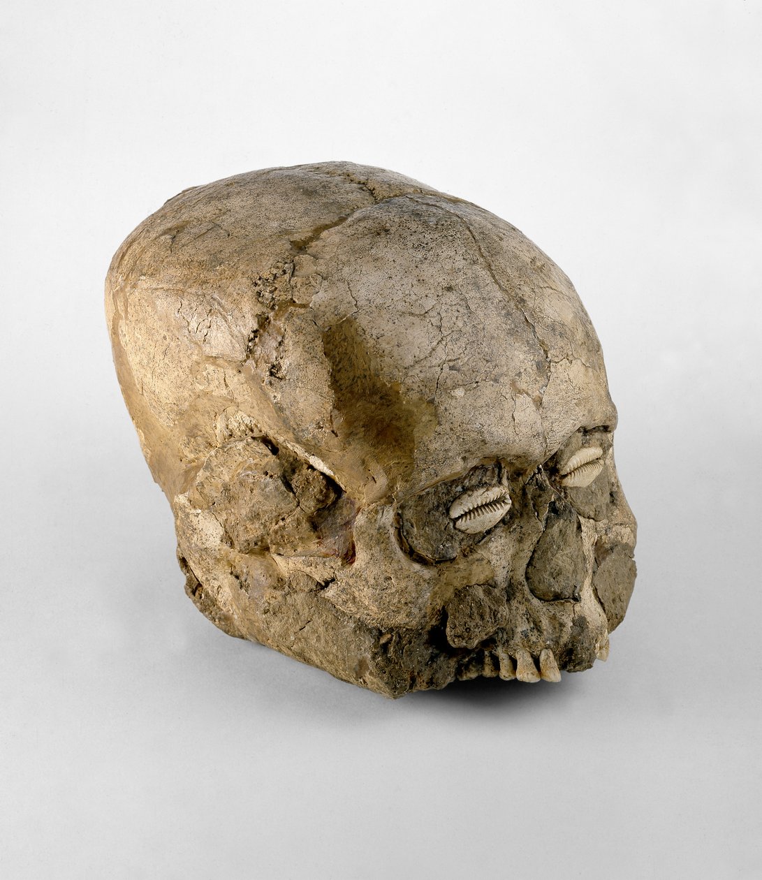 Deniz kabuğu gözlü portre kafatası, Jericho, MÖ c.7. binyıl (kafatası, alçı ve kabuk) by Prehistoric