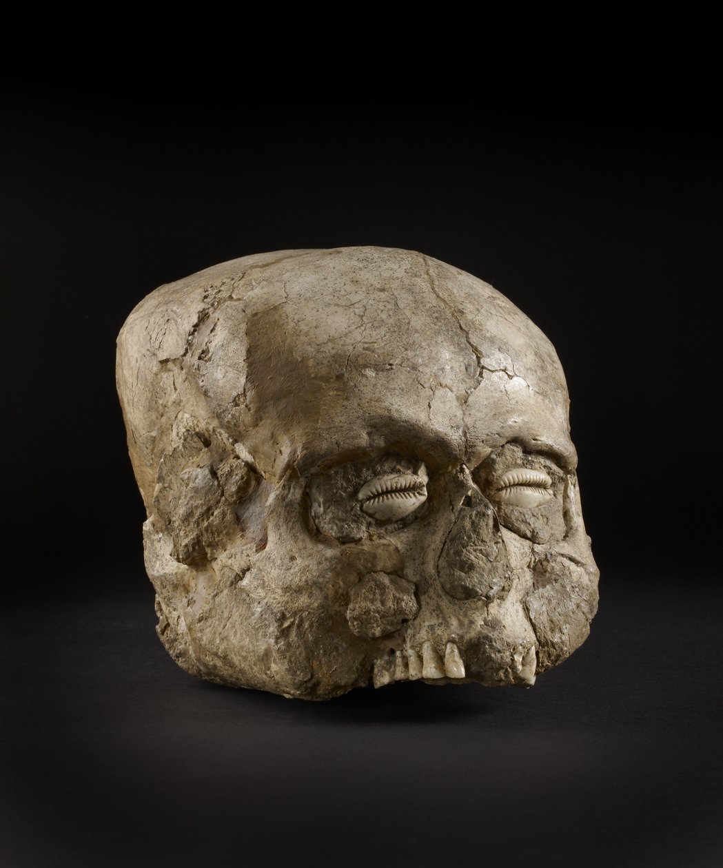 Deniz kabuğu gözlü portre kafatası, Jericho, MÖ c.7. binyıl (kafatası, alçı, deniz kabuğu) by Prehistoric