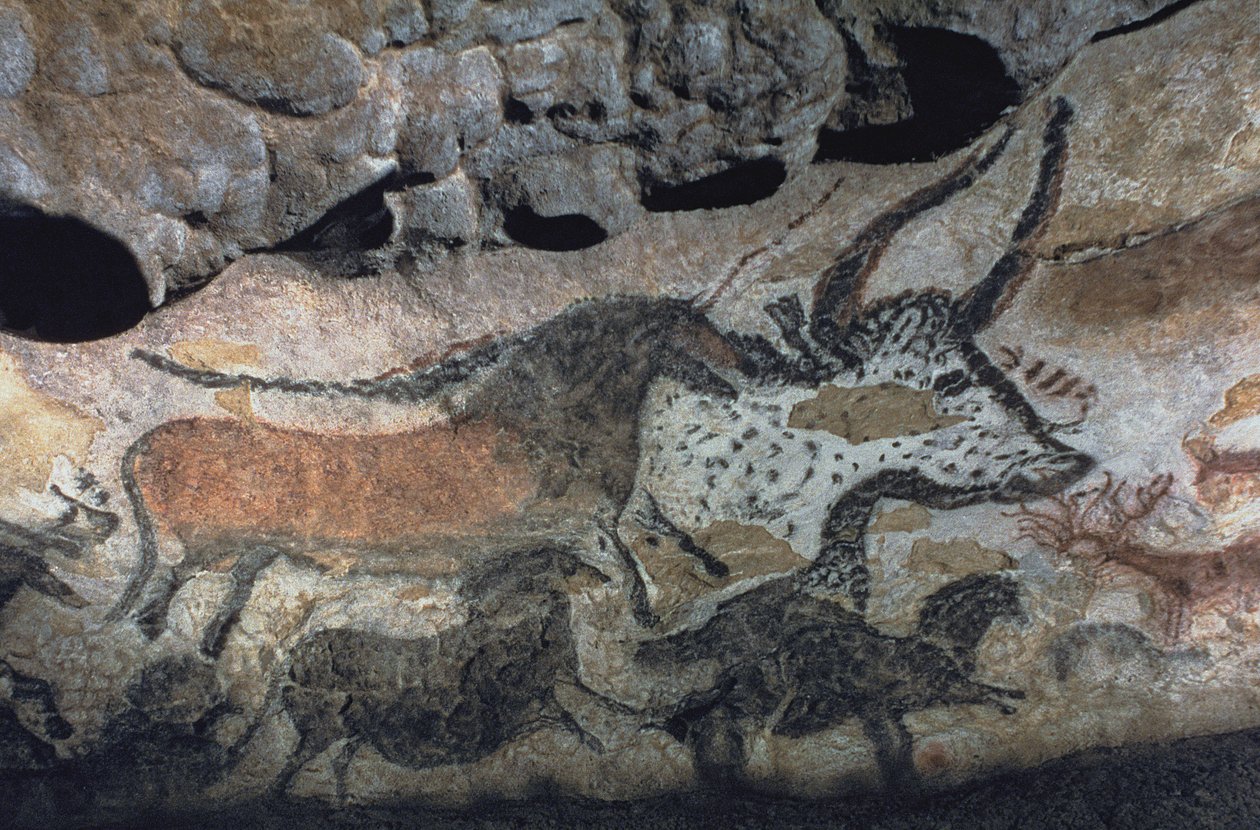 Bir boğa ve atların kaya resmi, MÖ 17000 dolayları (mağara resmi) by Prehistoric