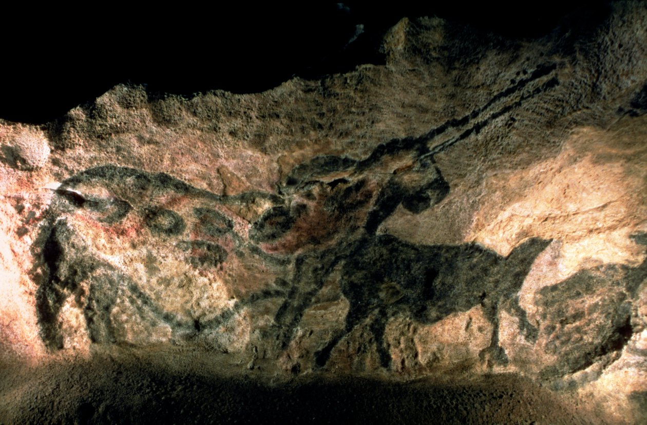 Boynuzlu bir hayvanın kaya resmi, MÖ 17000 dolayları (mağara resmi) by Prehistoric