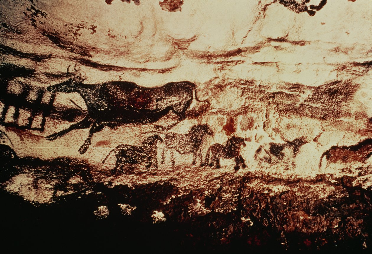 Sıçrayan bir ineğin kaya resmi ve küçük atlardan oluşan bir friz, yaklaşık MÖ 17000 (mağara resmi) by Prehistoric
