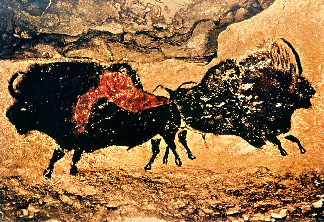 Bizonun kaya resmi, MÖ 17000 dolayları (mağara resmi) by Prehistoric