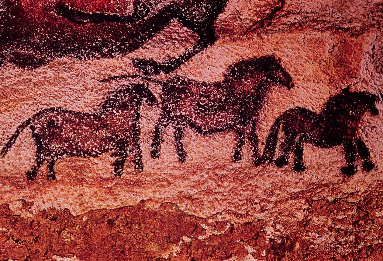 Tarpanların (midillilerin) kaya resmi, MÖ 17000 dolayları (mağara resmi) by Prehistoric