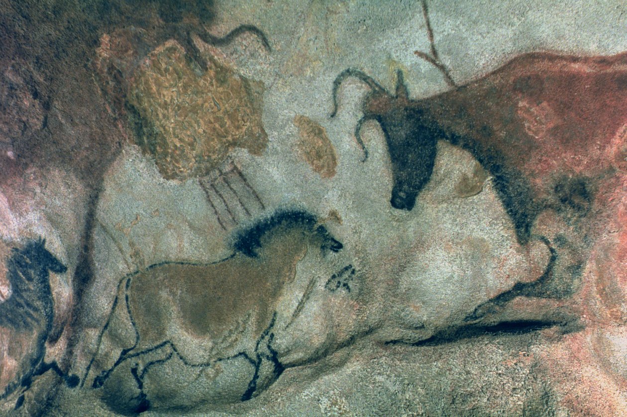 Bir at ve bir ineği gösteren kaya resmi, MÖ 17000 dolayları (mağara resmi) by Prehistoric