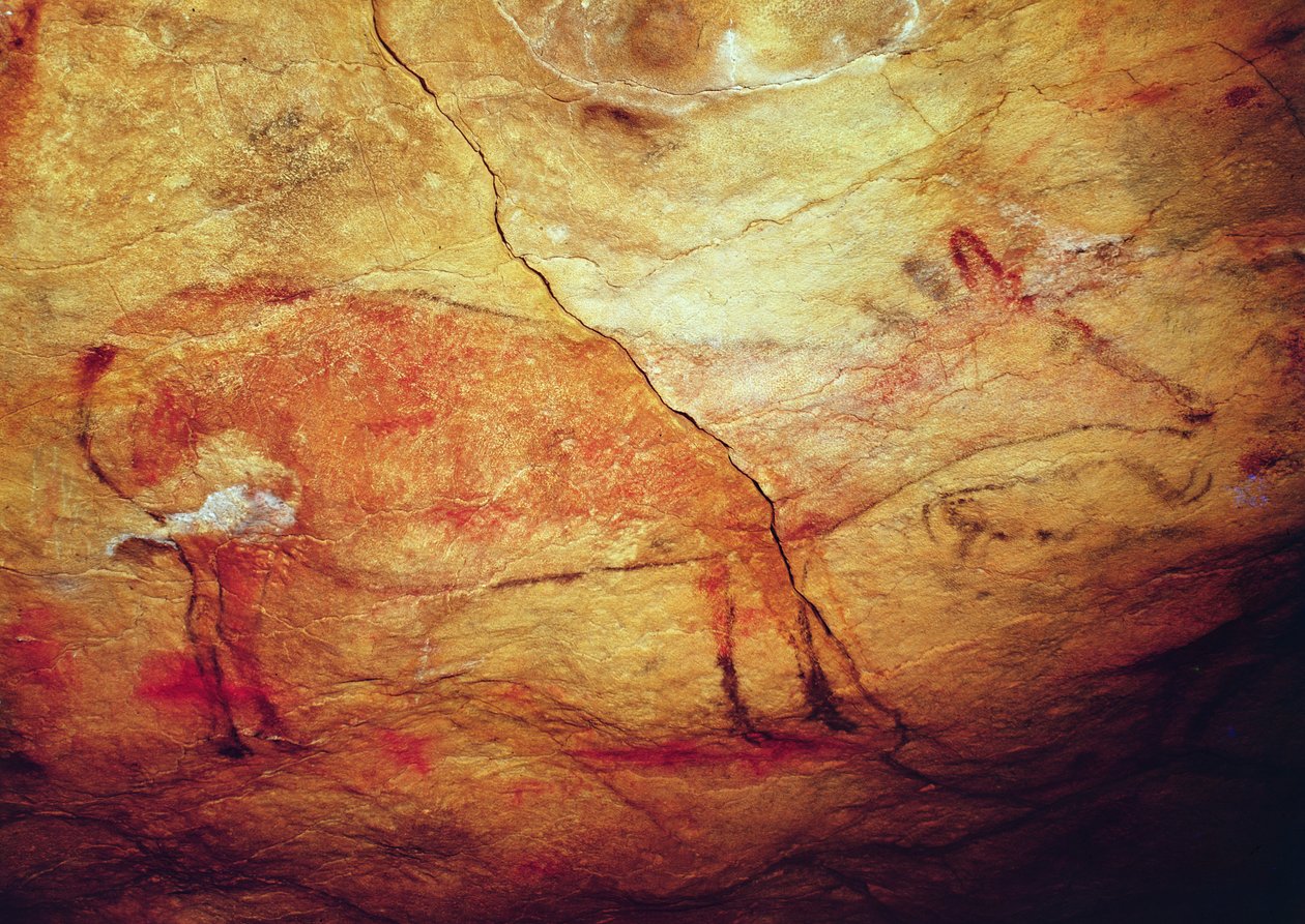 Altamira Mağaralarından Geyik, MÖ 15.000 dolayları (mağara resmi) by Prehistoric