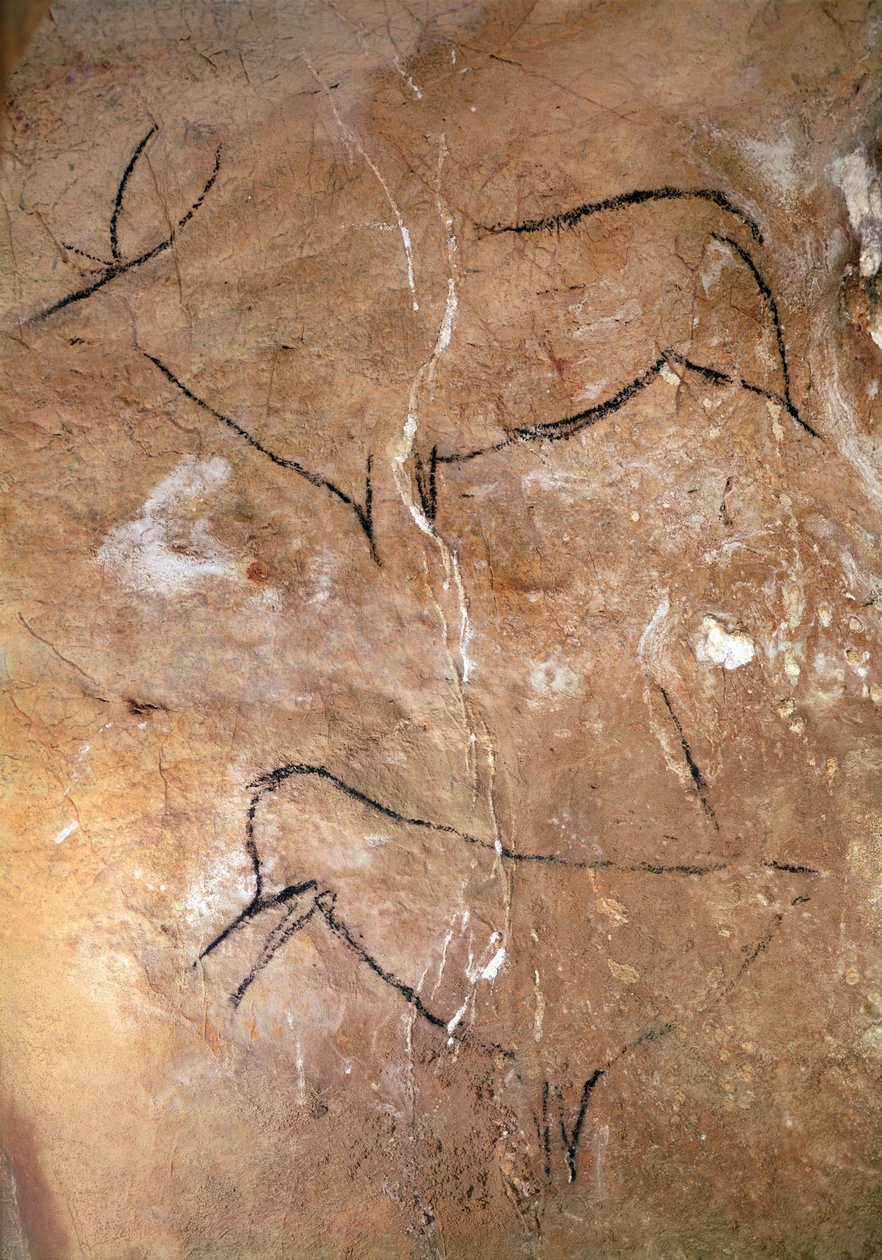 Altamira Mağaralarından İki Geyik, MÖ 15000 dolayları (mağara resmi) by Prehistoric