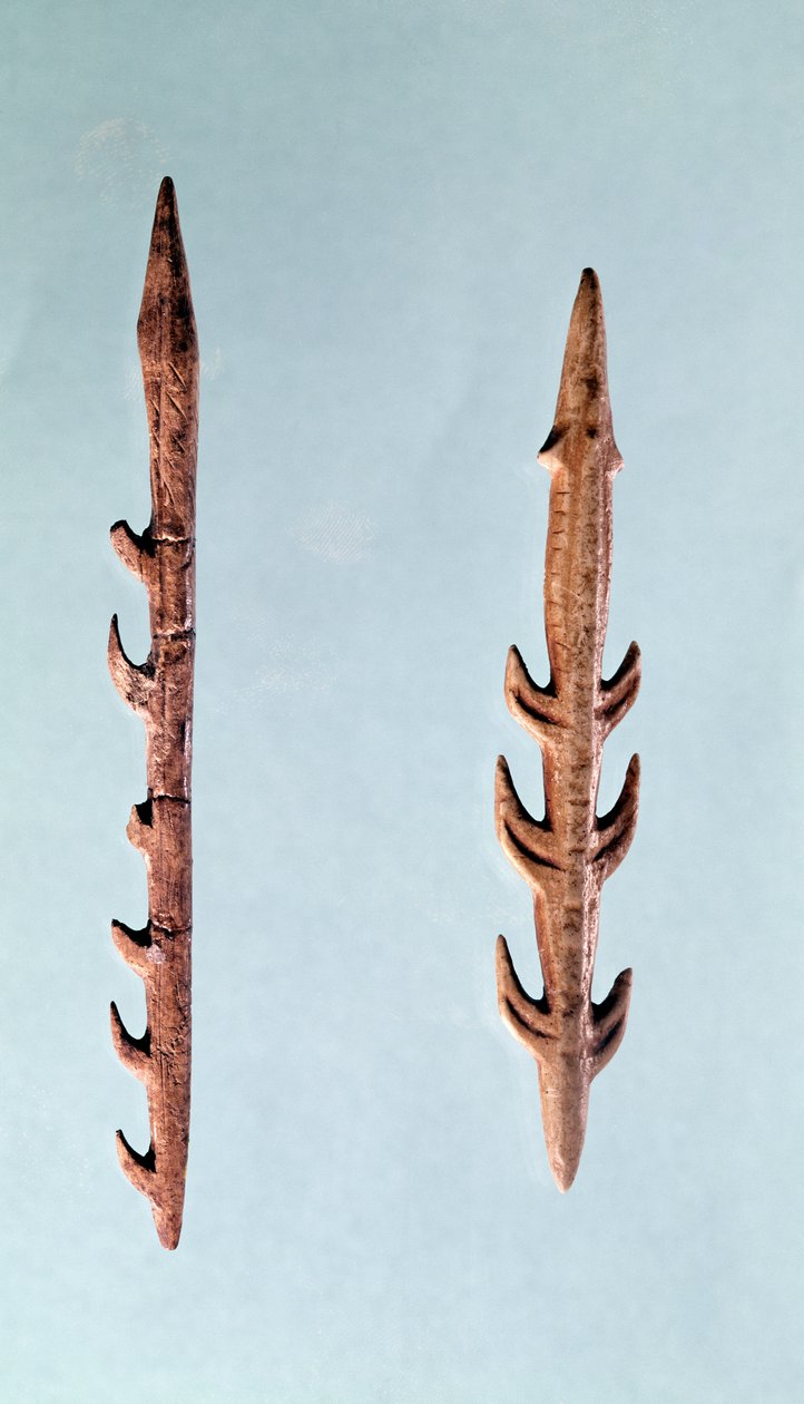 Two Harpoons, Upper Paleolithic Period, 35000-10000 BC (flint)  by Prehistoric