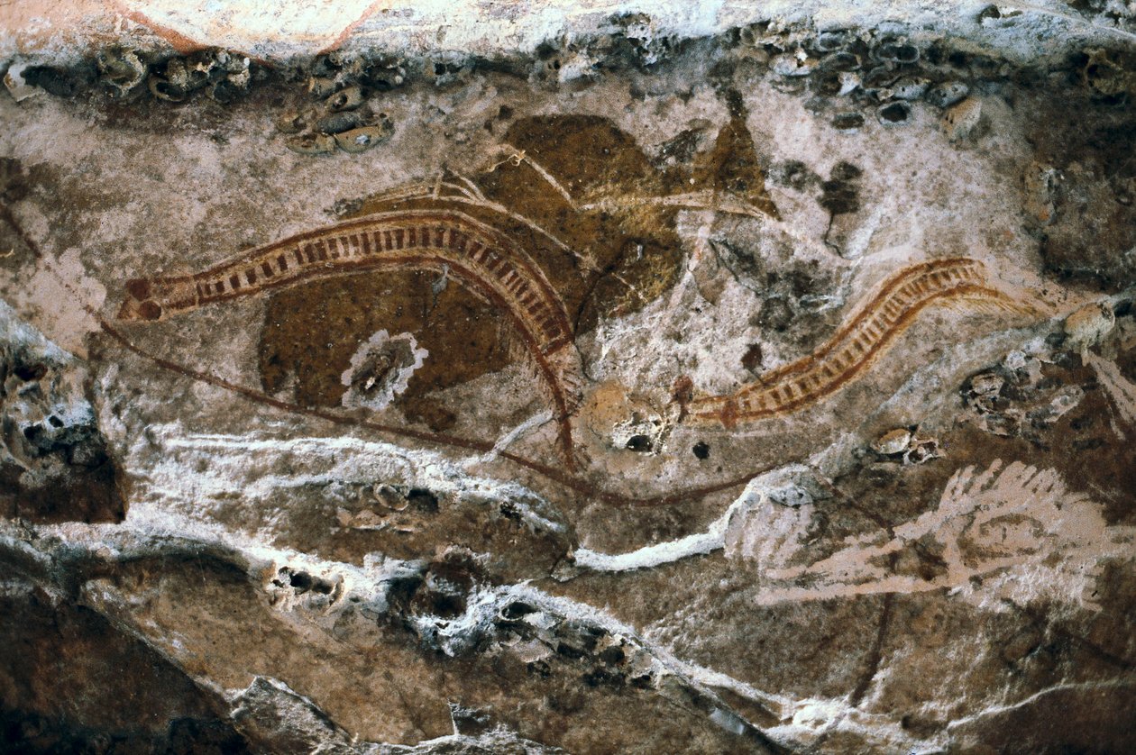 Aborijin kaya resmi, Ubirr mağaraları bölgesi, Kakadu Ulusal Parkı, Avustralya (resim) by Prehistoric Prehistoric