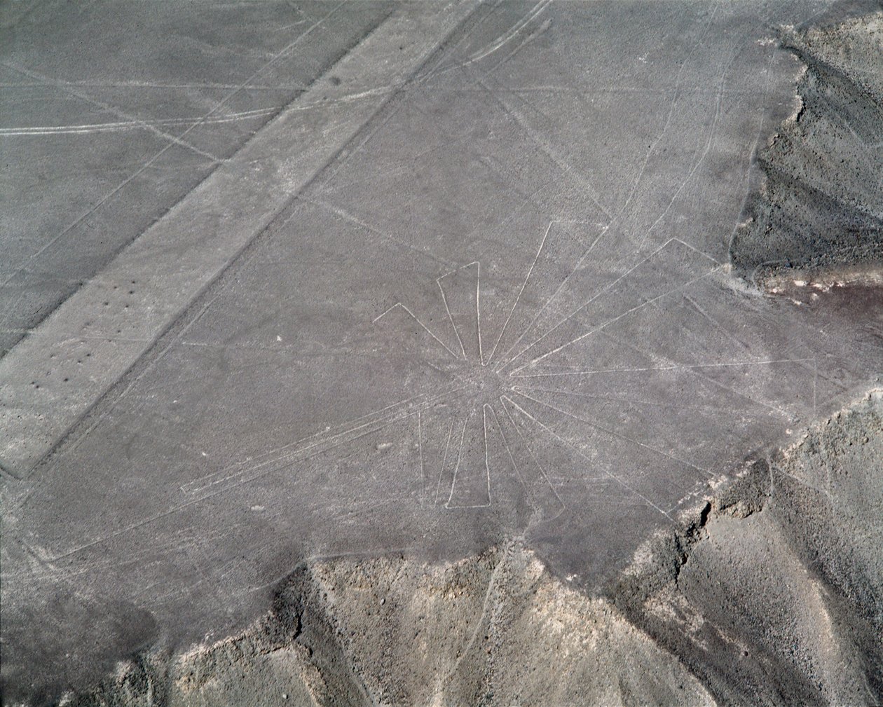 Nazca Çizgileri