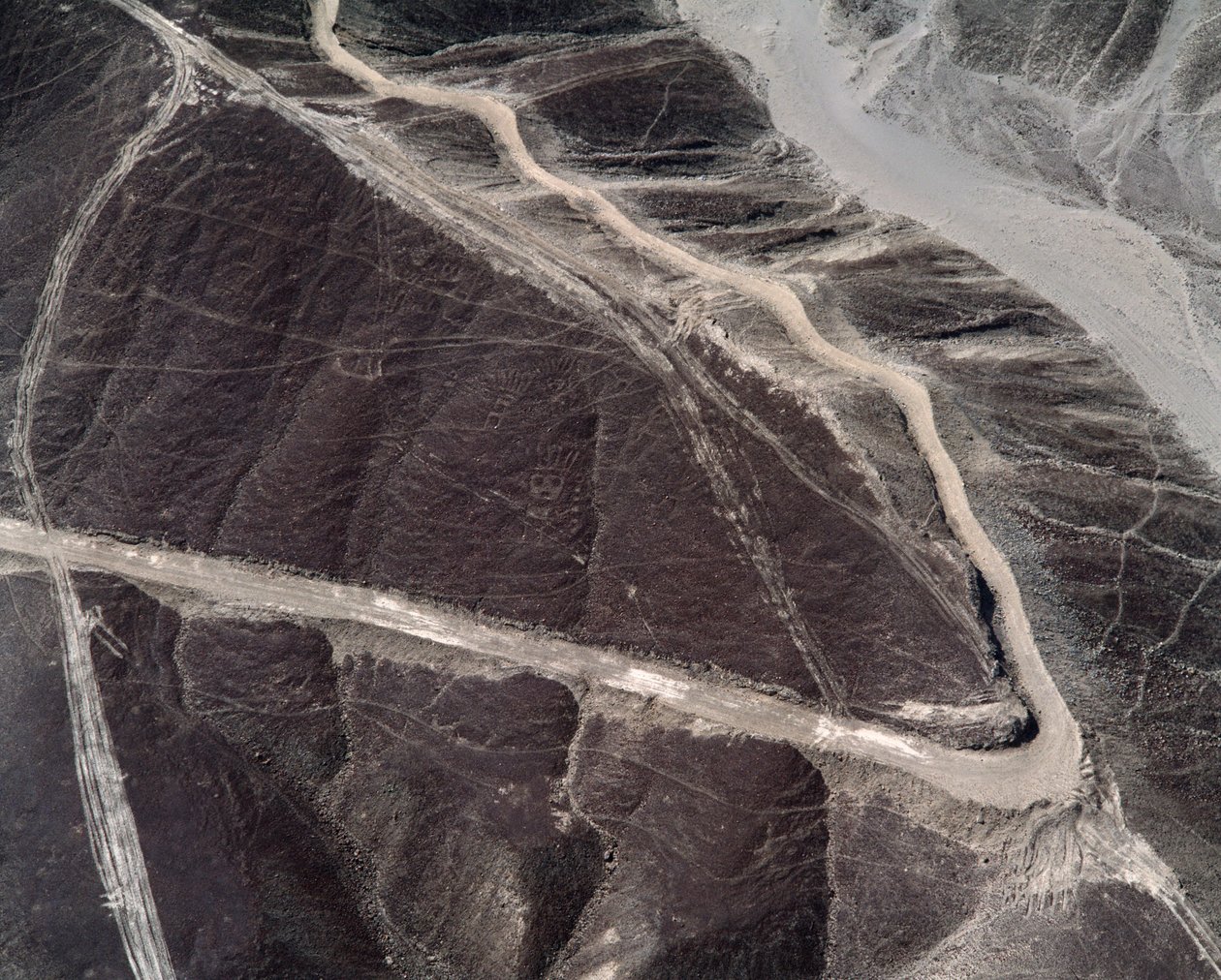 Nazca Çizgileri