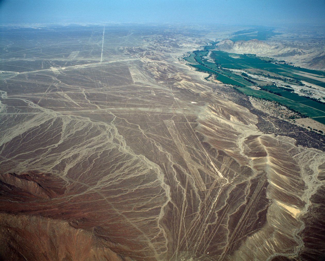 Bir kuş figürünü temsil eden Nazca Çizgileri