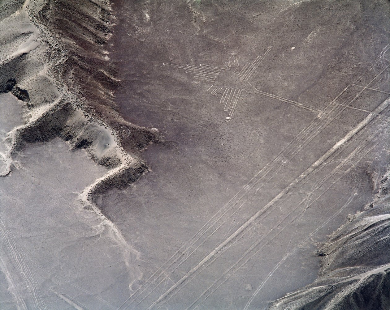 Sinek kuşunun havadan görünüşü, Nazca Çizgileri (fotoğraf by Prehistoric Prehistoric