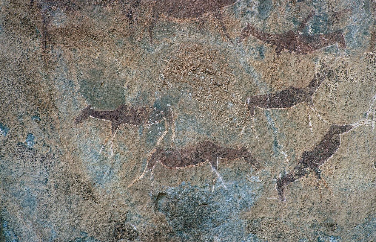 Hayvan figürleri (mağara resmi) by Prehistoric Prehistoric