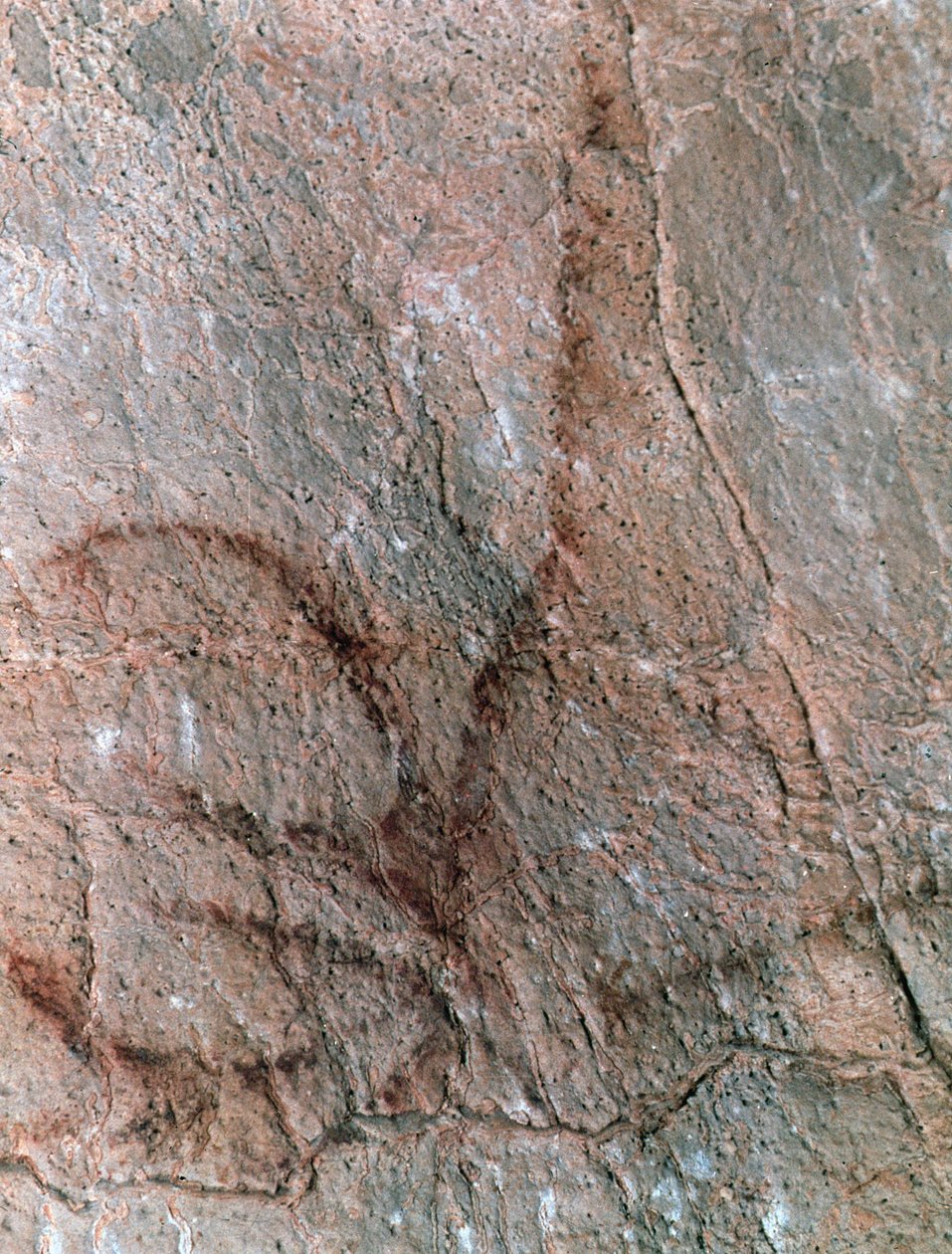  by Prehistoric Prehistoric
