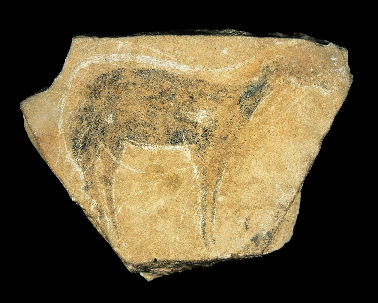 Siyah geyik, Parpallo Mağarası, İspanya, Üst Paleolitik (resim) by Prehistoric Prehistoric