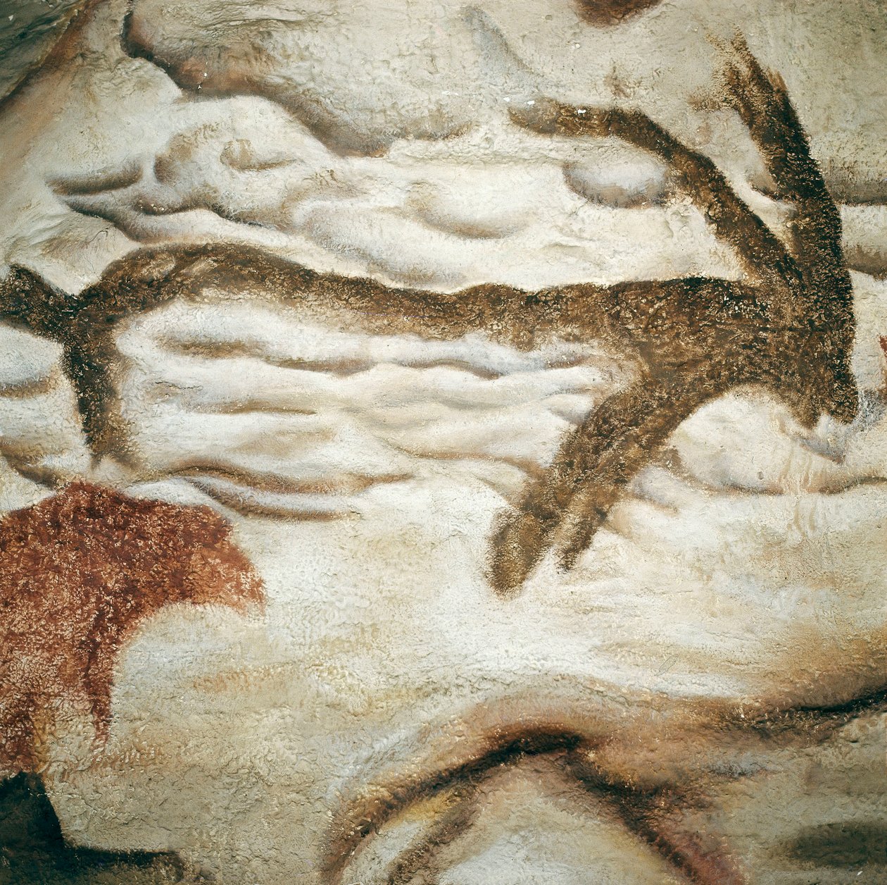 Cervid kaya resmi, Cave de Lascaux, Dordogne, Fransa, Üst Paleolitik (Magdalen) c. 13000 yıl önce (resim) by Prehistoric Prehistoric