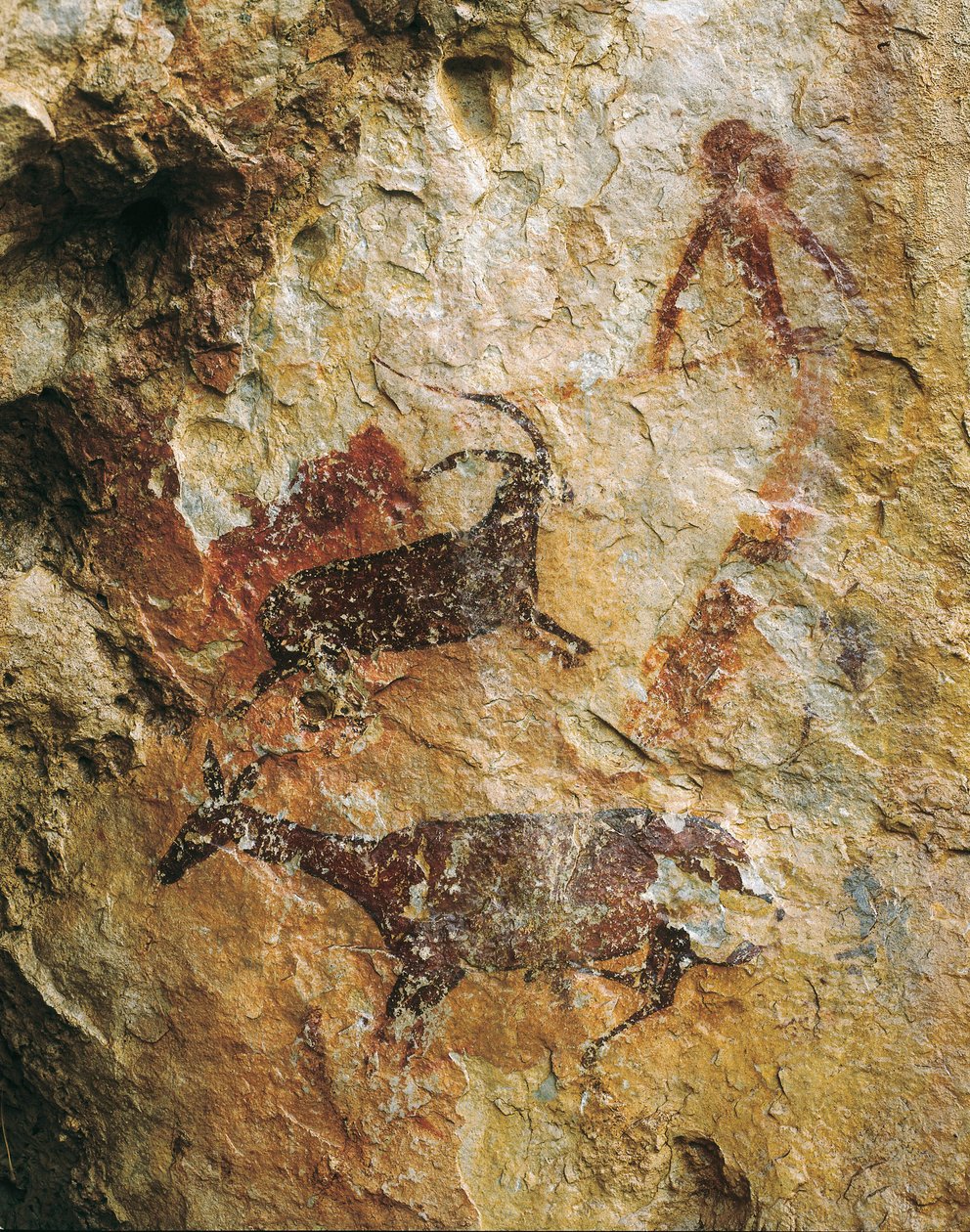 Geyik ve dağ keçisi ile av sahnesi (MÖ 25000-15000). Üst Paleolitik. El Perello, La Cabra Freixet mağarası. by Prehistoric Prehistoric