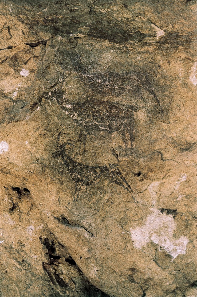 Mezolitik Kaya Sanatı: Geyik ve Keçi (MÖ 8000-7000), İspanya, Bicorp, La Arana Mağarası (resim) by Prehistoric Prehistoric