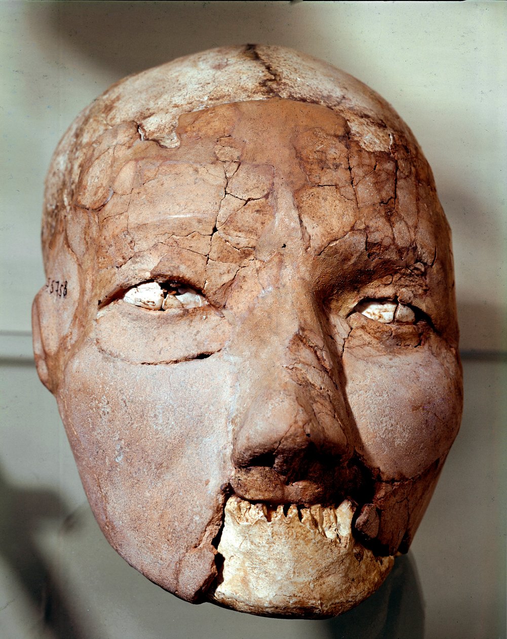 Neolitik sanat: Taş Devri