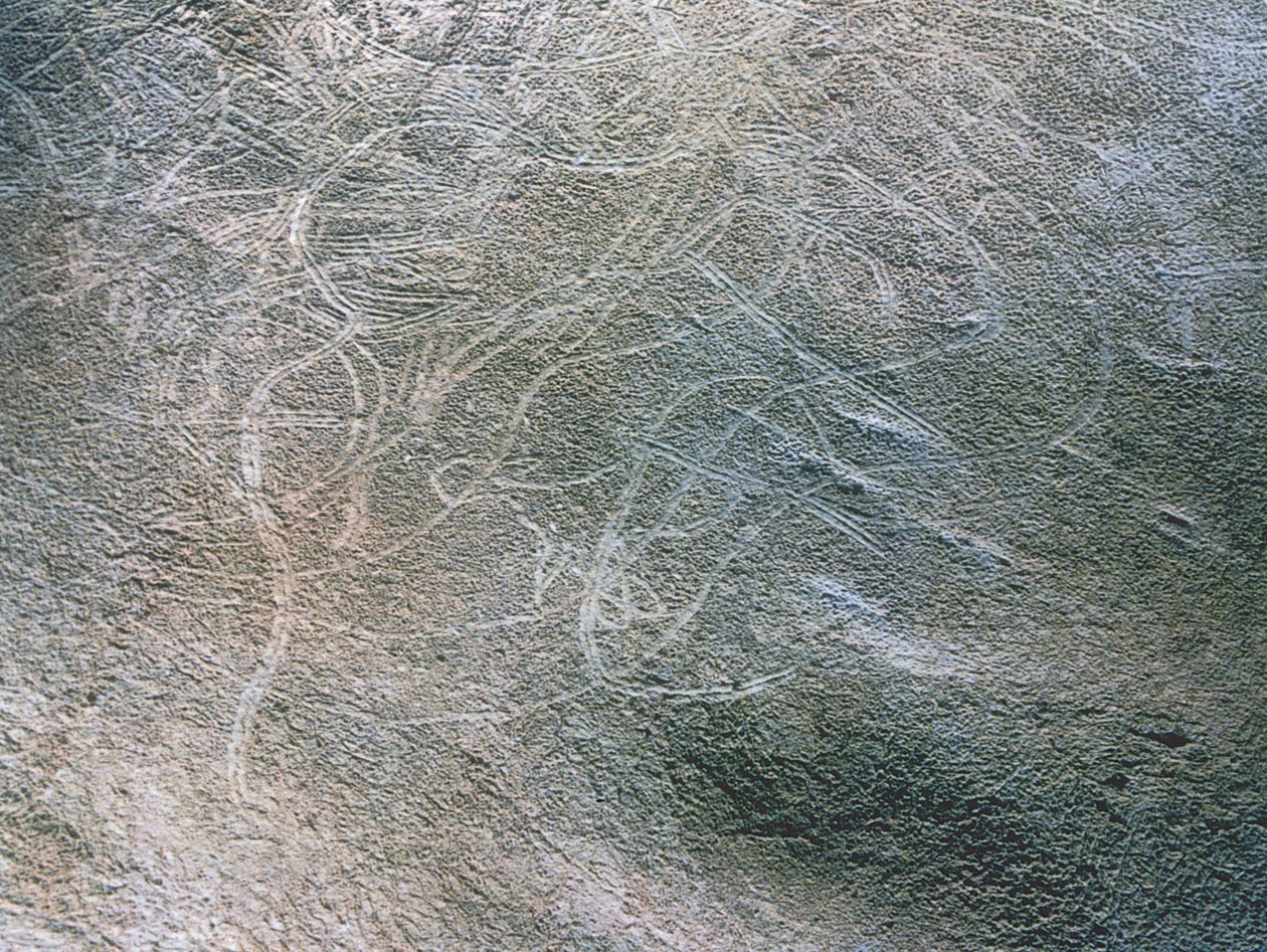  by Prehistoric Prehistoric