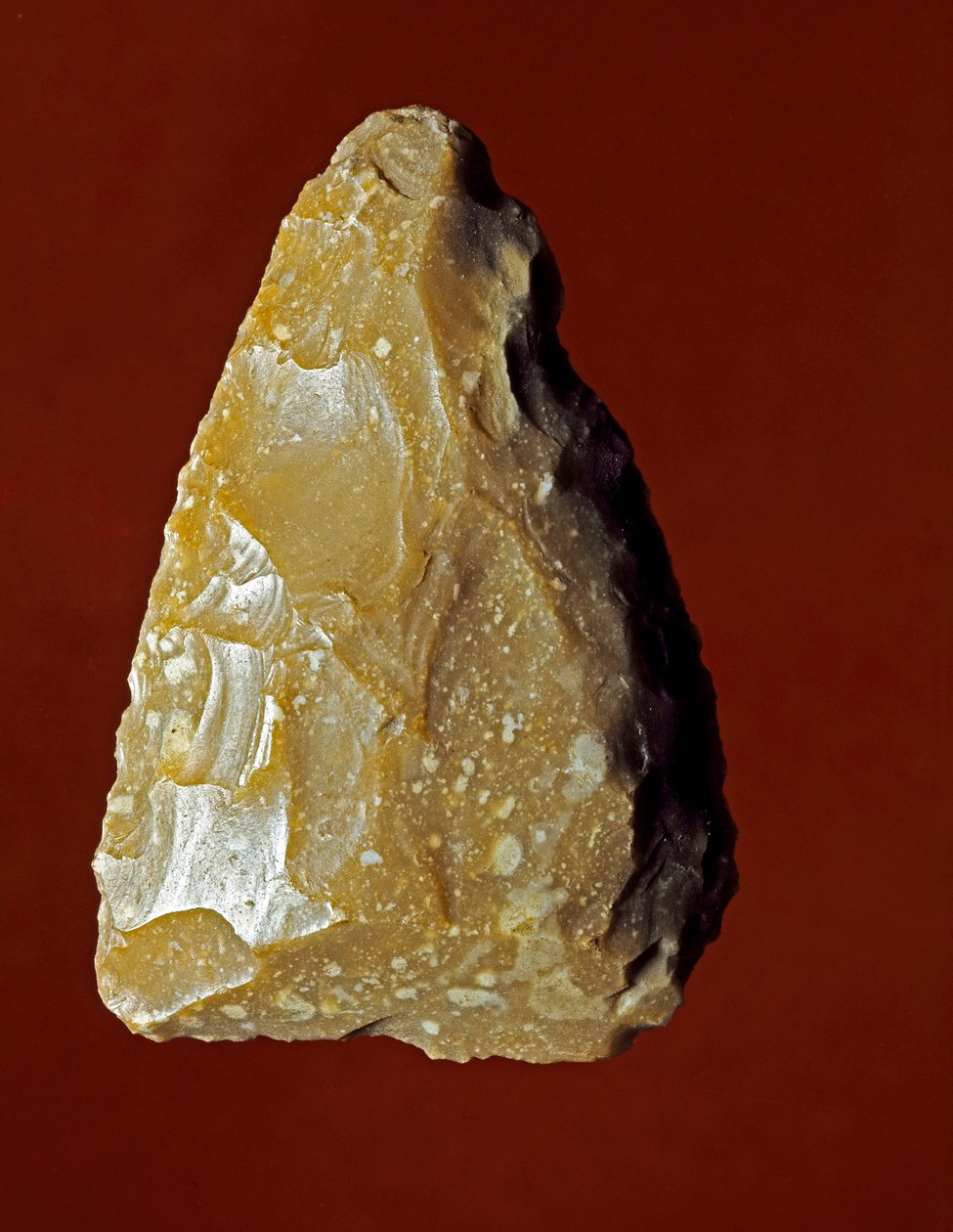 Prehistoire: Campignana kültürünün litik üretim aracı, Gargano, İtalya. Kalkolitik. Verone, Civic Museum of Natural History, İtalya by Prehistoric Prehistoric