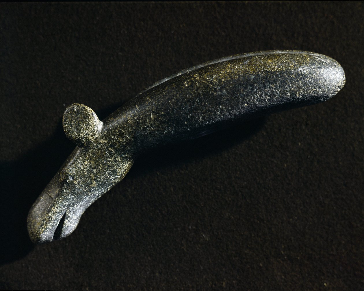 Prehistoire: Elan şeklindeki diyorit aracı. Taş Devri. İsveç Ulusal Eski Eserler Müzesi, Stockholm İsveç by Prehistoric Prehistoric
