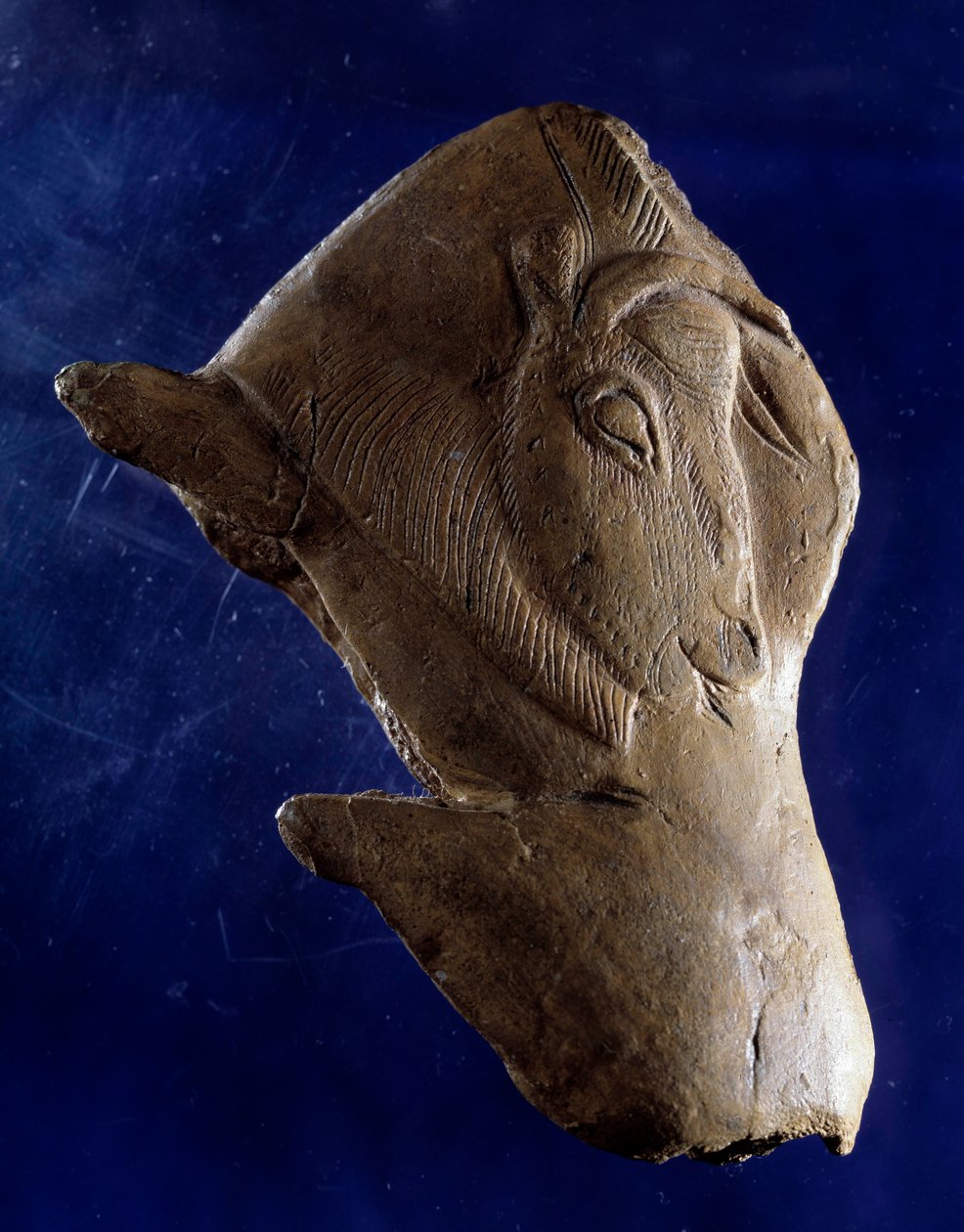 Tarih Öncesi Sanat (Yukarı Magdalenian): “” Bizon kalkıyor”” Dordogne
