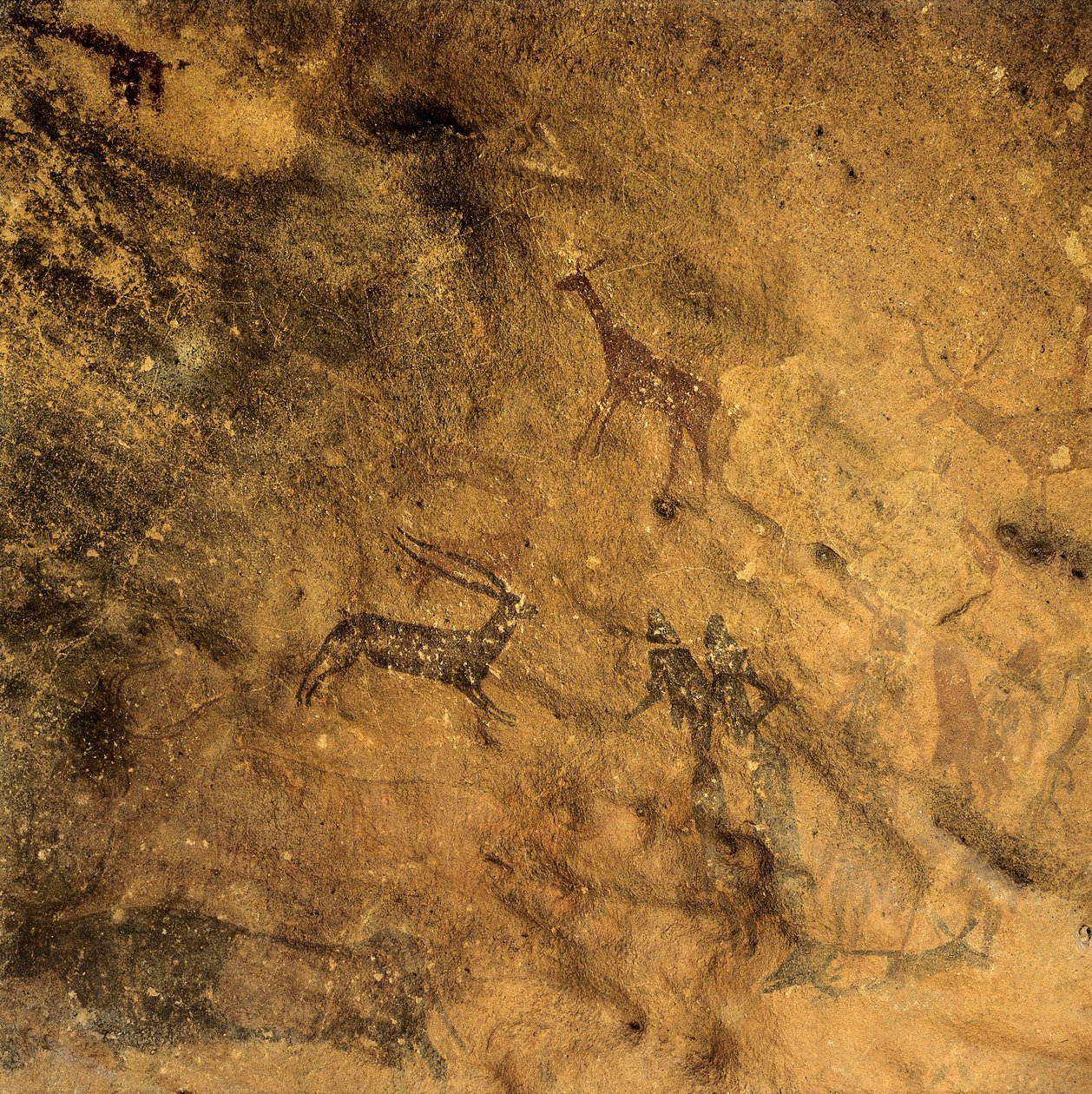 Tarih öncesi fallik dans İspanya, Katalonya, Lleida, El Cogul, Grotte des Maures (resim) by Prehistoric Prehistoric