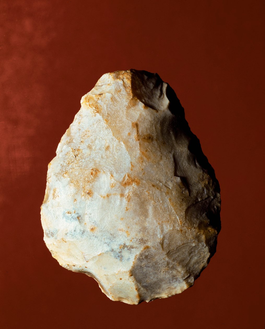 Prehistorya: Micoquian tipinde litik üretim iki yüzeyli. Alt paleolitik. Verone, Museo Civico di Storia Naturale, İtalya by Prehistoric Prehistoric