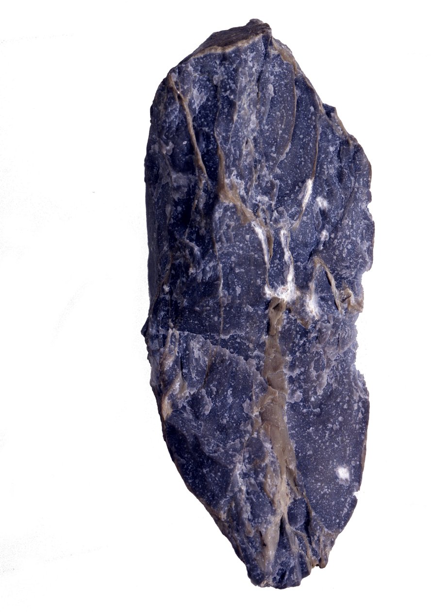 Prehistorya: stromatolit veya stromatolit tipi Collenia kayasının Arkeozoyik veya Prekambriyen (Arkaik) parçasının dönemleri. Birleşik devletlerden. by Prehistoric Prehistoric