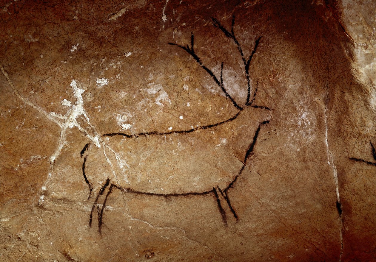 Prehistorya: Bir geyik. Üst paleolitik mağara resmi (Magdalenian) (16.500 ve 14.000 yıl önce). Taş çağı. Las Chimeneas Mağarası, Monte Castillo, İspanya by Prehistoric Prehistoric