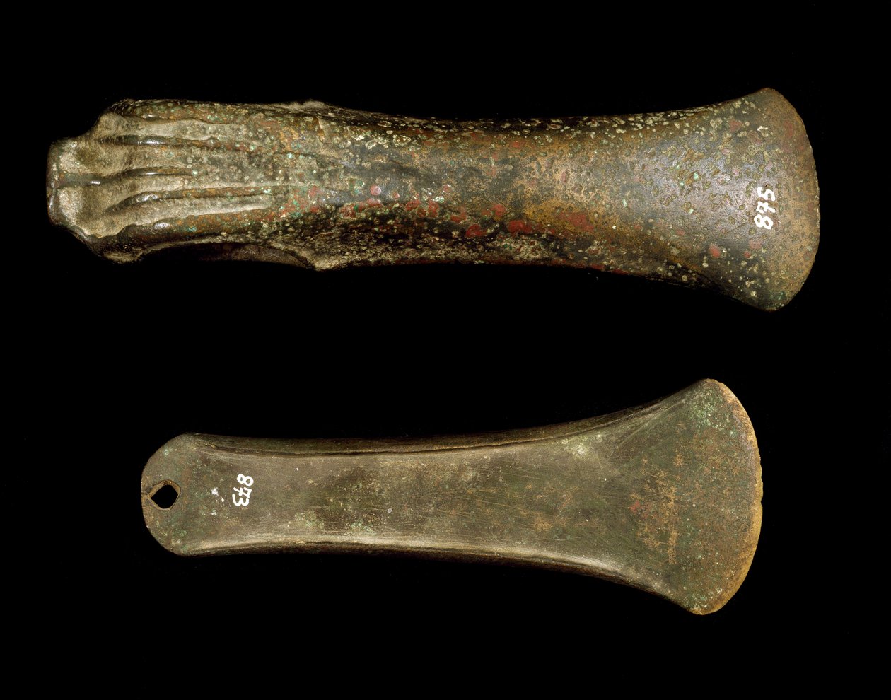 Prehistorya: Campania