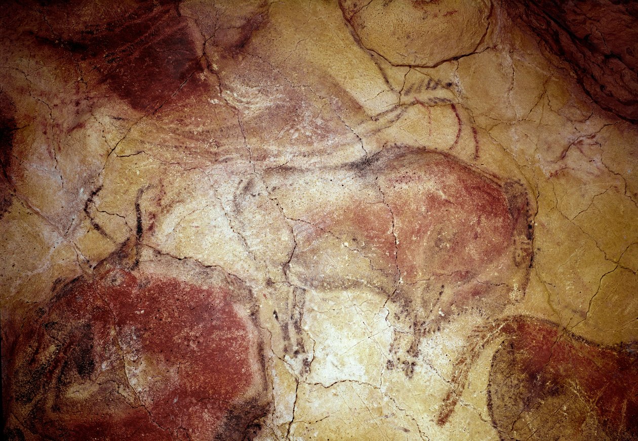 Prehistorya: "" istirahat halindeki bizon "" Üst Paleolitik (Magdalen) kaya resmi (16500 ila 14000 yıl önce) Taş Devri Bizon Mağarası, Altamira, Santander, İspanya by Prehistoric Prehistoric