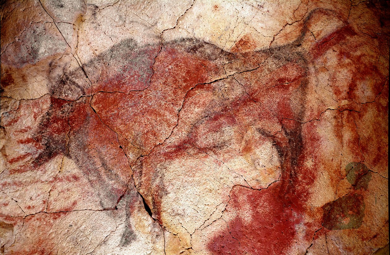 Tarihöncesi: “dinlenme halindeki bizon”” Üst Paleoloit (Magdalen) kaya resmi (16500 ila 14000 yıl önce) Taş Devri Bizon Mağarası, Altamira, Santander, İspanya by Prehistoric Prehistoric