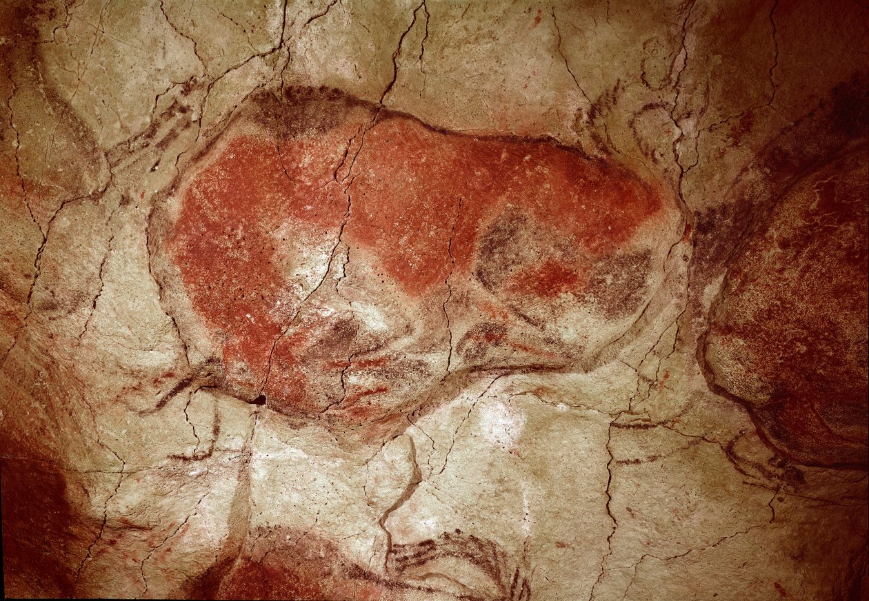 Tarihöncesi: "" duran bizon"" Üst Paleoloit (Magdalen) kaya resmi (16500 ila 14000 yıl önce) Taş Devri Bizon Mağarası, Altamira, Santander, İspanya - Tarih Öncesi: bizon hareketsiz. kaya resmi, üst paleolitik (Magdalen) (1 by Prehistoric Prehistoric