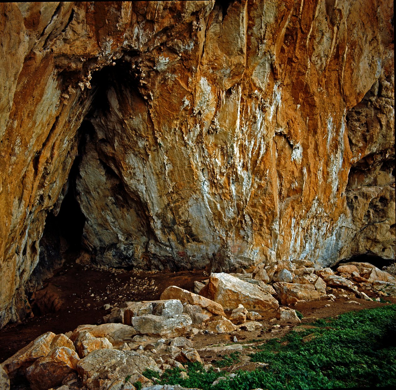 Tarihöncesi: Üst Paleolitik çağın tarih öncesi insanlarının kaya gravürleriyle yaşadığı Mondello (PA) yakınlarındaki mağara “grotta dell Addaura””. Monte Pellegrino, Palermo (Palermo), İtalya by Prehistoric Prehistoric