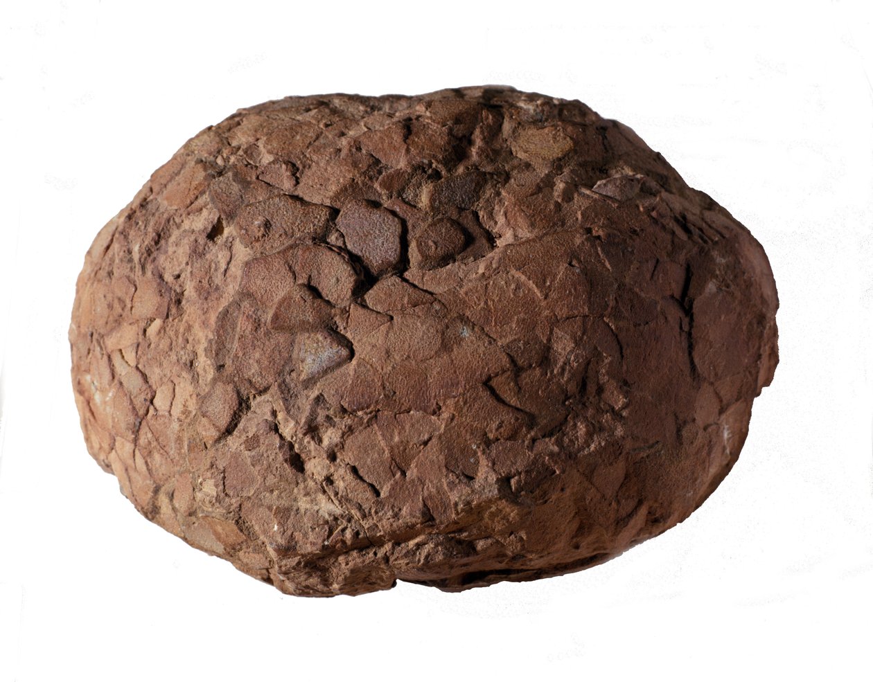 Prehistorya: Provence