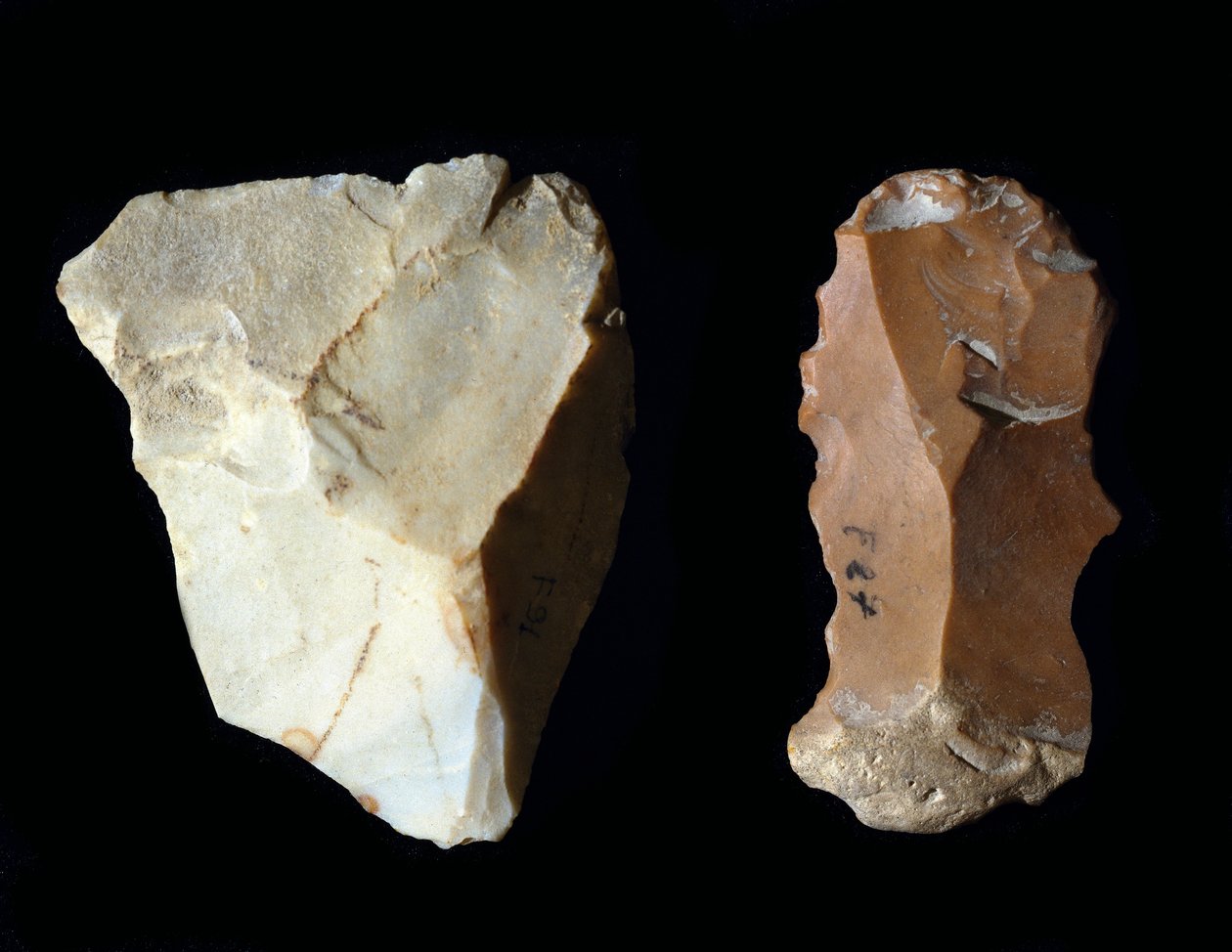 Tarih öncesi: çakmaktaşı aletler. Neolitik, Taş Devri. Fermo Arkeoloji Müzesi, İtalya by Prehistoric Prehistoric