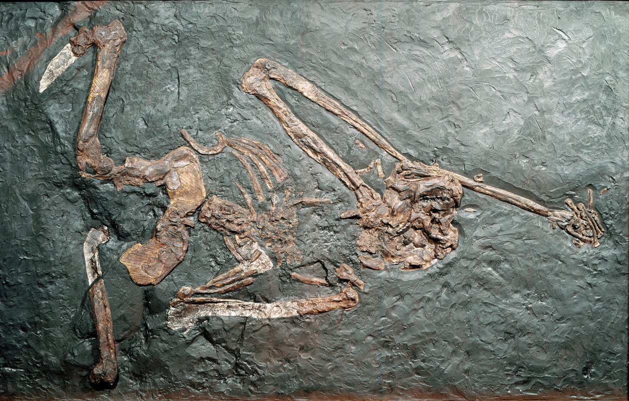Prehistorya: Bamboli Dağı