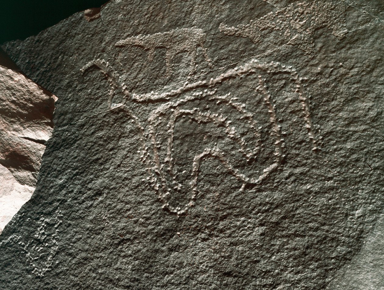 Tarih öncesi, kaya sanatı: Bir sığırın temsilinin ciddi bir kayası. Tazina tarzı. Taş Devri 5000-2000 M.Ö. Taghit, Haut plato du Hoggar (Ahaggar), Cezayir by Prehistoric Prehistoric