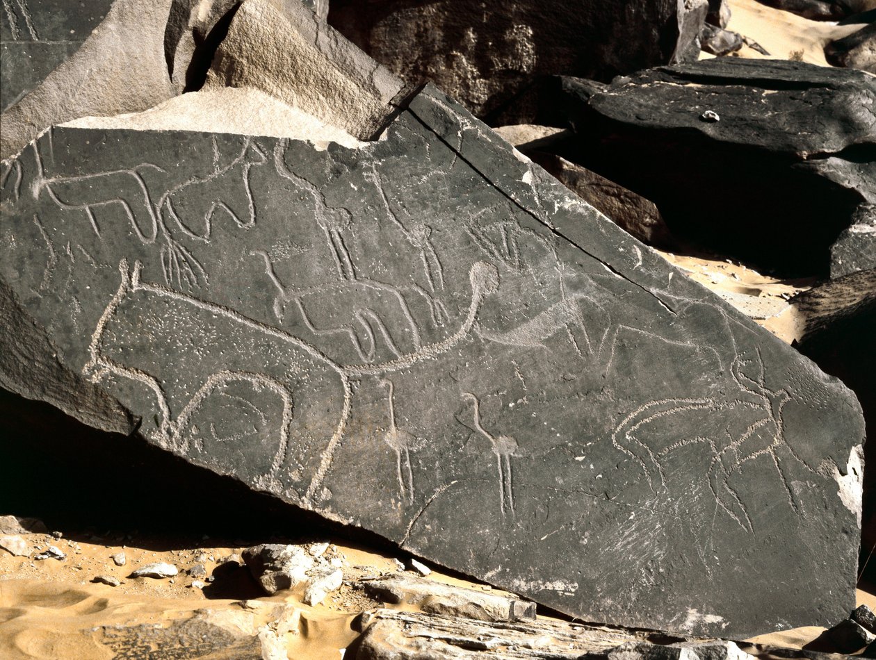 Tarih öncesi, kaya sanatı: aslanları, antilopları, devekuşu ve sığırları betimleyen mezar kayası. Taş Devri 5000-2000 M.Ö. Taghit, Haut plato du Hoggar, Cezayir by Prehistoric Prehistoric
