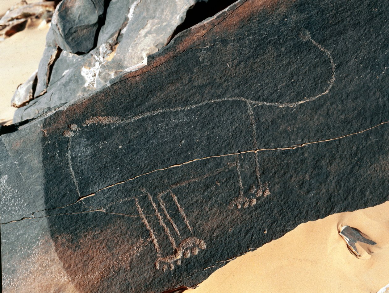 Tarih öncesi, kaya sanatı: bir aslan temsilinin mezar taşı. Tazina tarzı. Taş Devri 5000-2000 M.Ö. Taghit, Haut plato du Hoggar (Ahaggar), Cezayir by Prehistoric Prehistoric
