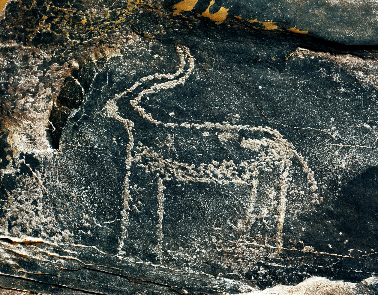 Tarih öncesi, kaya sanatı: bir antilop temsilinin mezar taşı. Taş Devri 5000-2000 M.Ö. Taghit, Haut plato du Hoggar (Ahaggar), Cezayir by Prehistoric Prehistoric