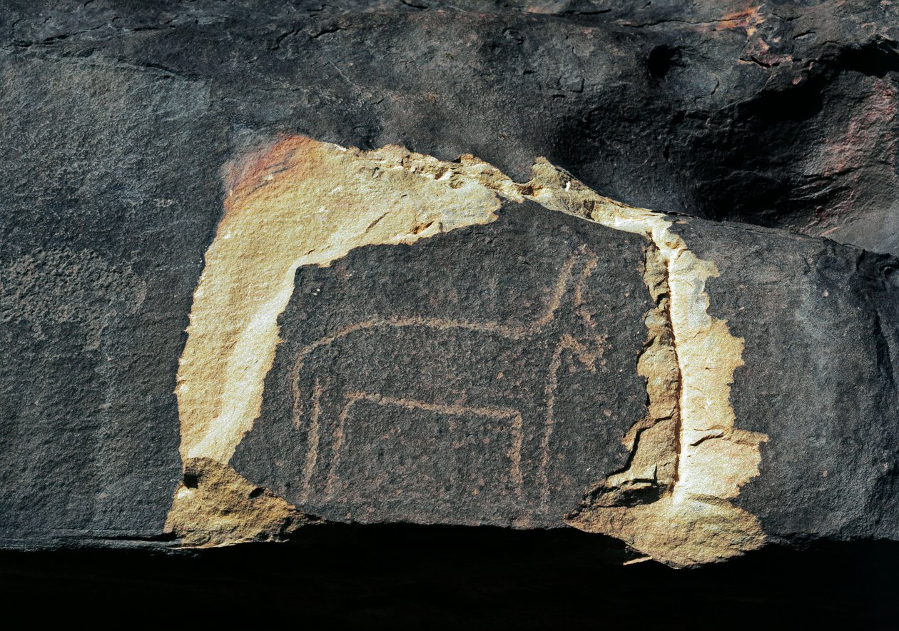 Tarih öncesi, kaya sanatı: bir antilop temsilinin mezar taşı. Taş Devri 5000-2000 M.Ö. Taghit, Haut plato du Hoggar (Ahaggar), Cezayir by Prehistoric Prehistoric