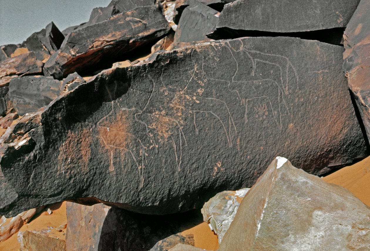 Tarih öncesi, kaya sanatı: sığır temsilinin mezar taşı. Tazina tarzı. Taş Devri 5000-2000 M.Ö. Taghit, Haut plato du Hoggar (Ahaggar), Cezayir by Prehistoric Prehistoric